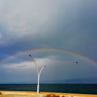 Gökkuşağı/Rainbow
